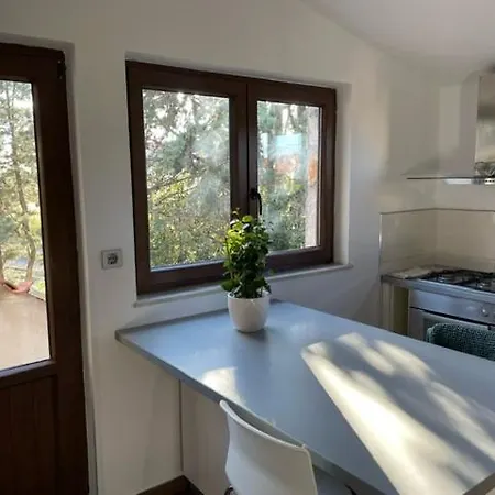 All You Need Holiday Apartment Pula